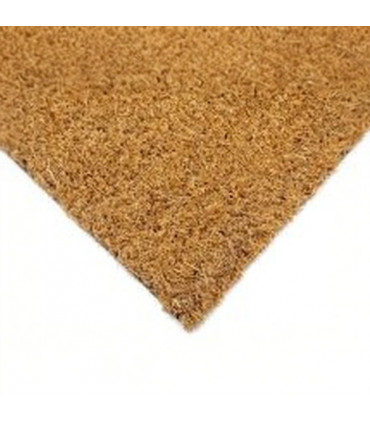 Felpudo de Coco Natural