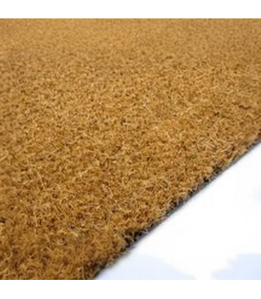 Felpudo de Coco Natural