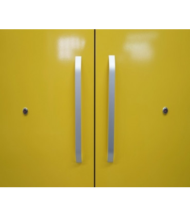 Armario ignífugo líquidos inflamables 1.200 x 600 x 1.950 mm