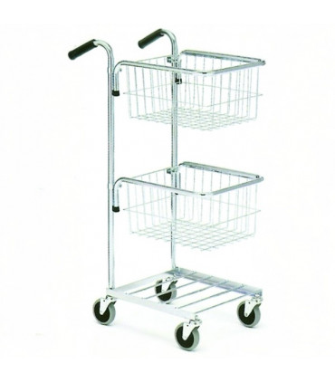 Carro 2 cestos