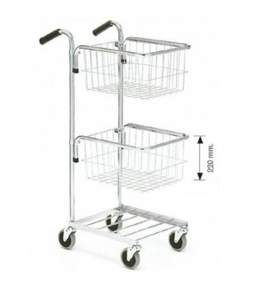 Carro 2 cestos